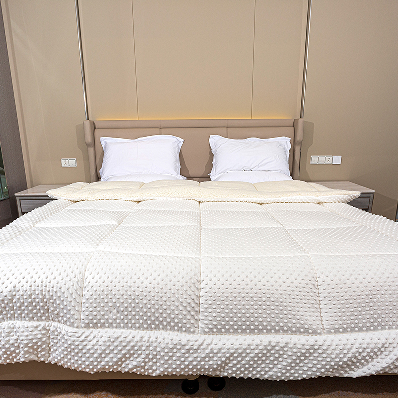 Minky Dots Lamb Fleece Comforter, Double Fabric Super Super Soft Warm Warm Velvet หนาช่วงฤดูหนาวที่อบอุ่นผ้าห่มขนแกะขนสัตว์นุ่ม ๆ